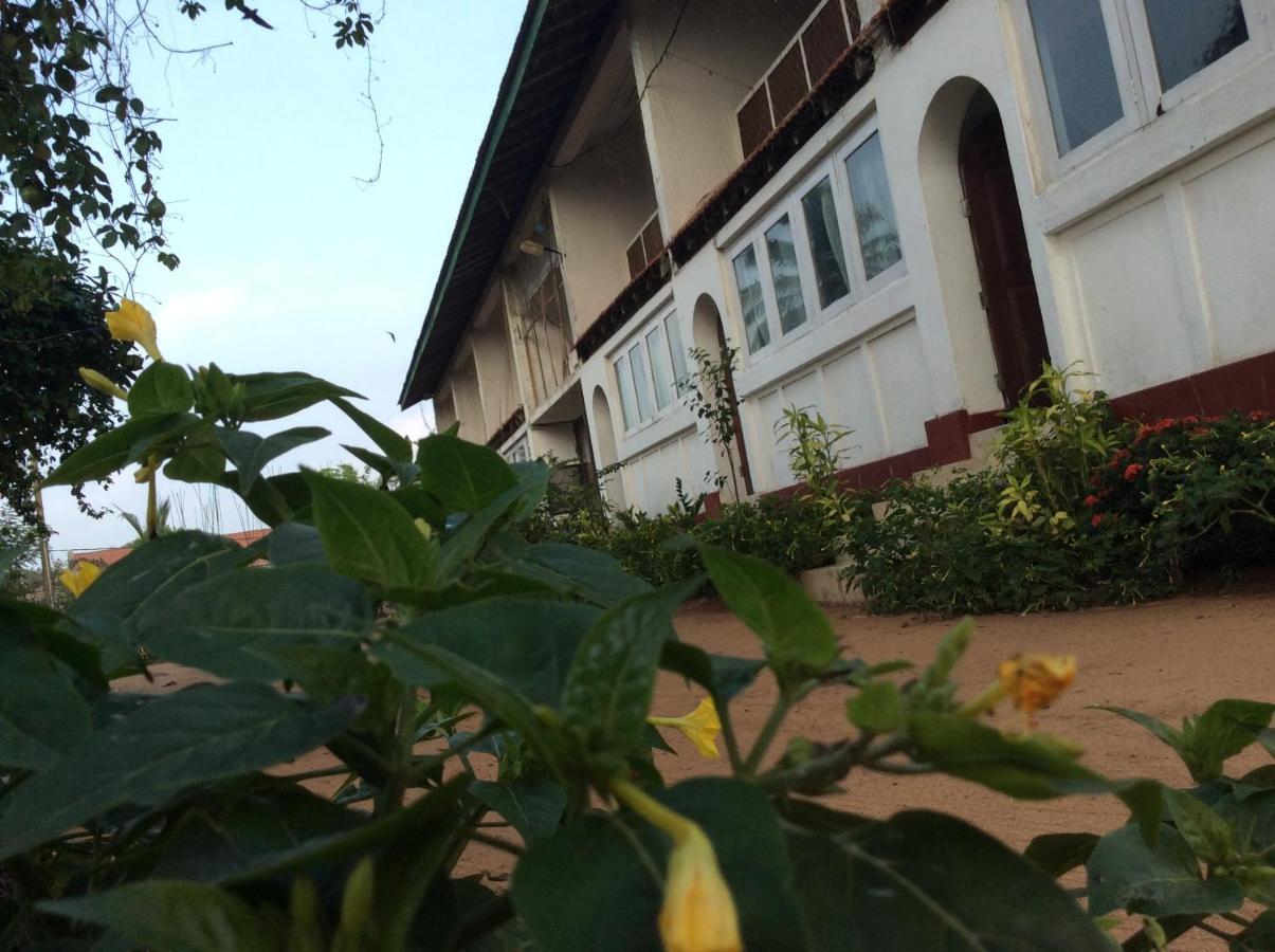 New Rest House Sea View Hotel 尼甘布 外观 照片