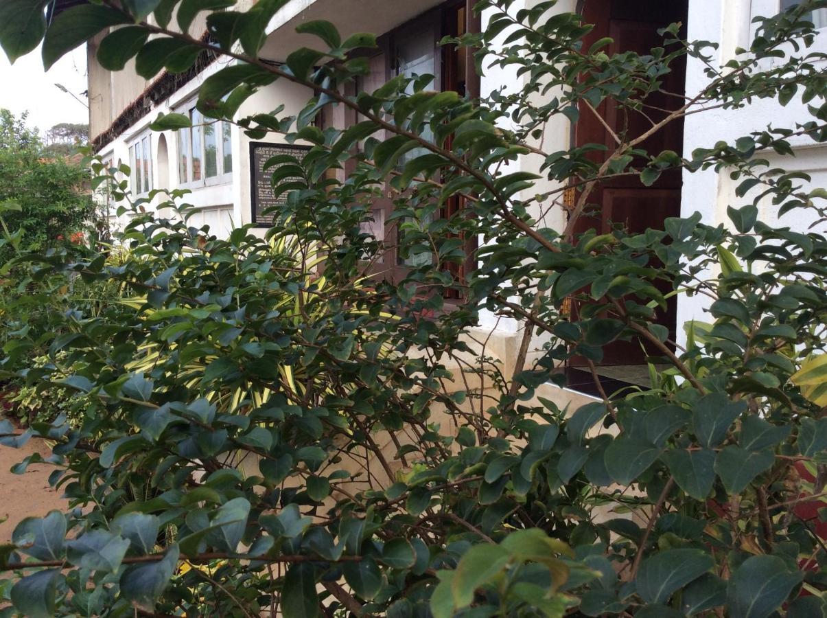 New Rest House Sea View Hotel 尼甘布 外观 照片